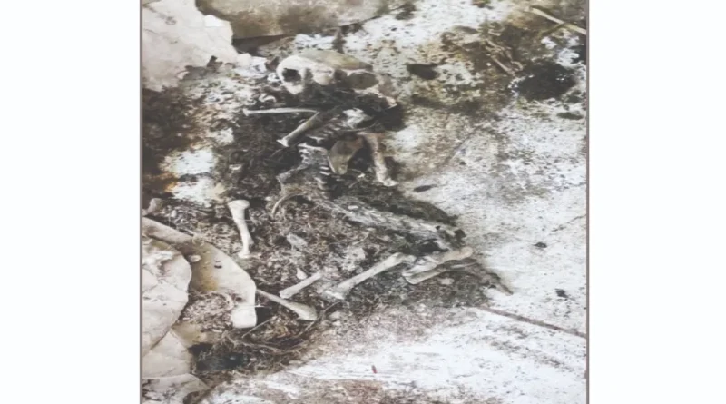 ପୁରୁଣା ଡାକ୍ତରଖାନାରୁ ୩ କଙ୍କାଳ ଉଦ୍ଧାର