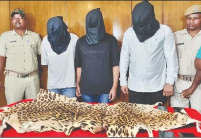 Tiger skin seized