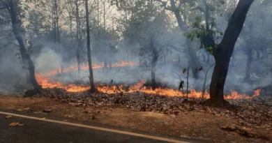 ଜଂଗଲ ବିଭାଗର ସଚେତନ ସତ୍ତ୍ବେ ବଣରେ ଲାଗୁଛି ନିଆଁ