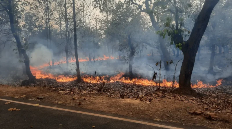 ଜଂଗଲ ବିଭାଗର ସଚେତନ ସତ୍ତ୍ବେ ବଣରେ ଲାଗୁଛି ନିଆଁ