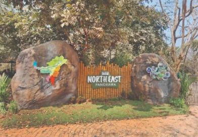 ଲୋକାର୍ପଣ କଲେ, ଖୋଲିଲେନି