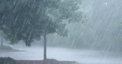 ୧୨ଟି ରାଜ୍ୟରେ ବର୍ଷା ଓ କୁଆପଥର ମାଡ଼ ସତର୍କତା